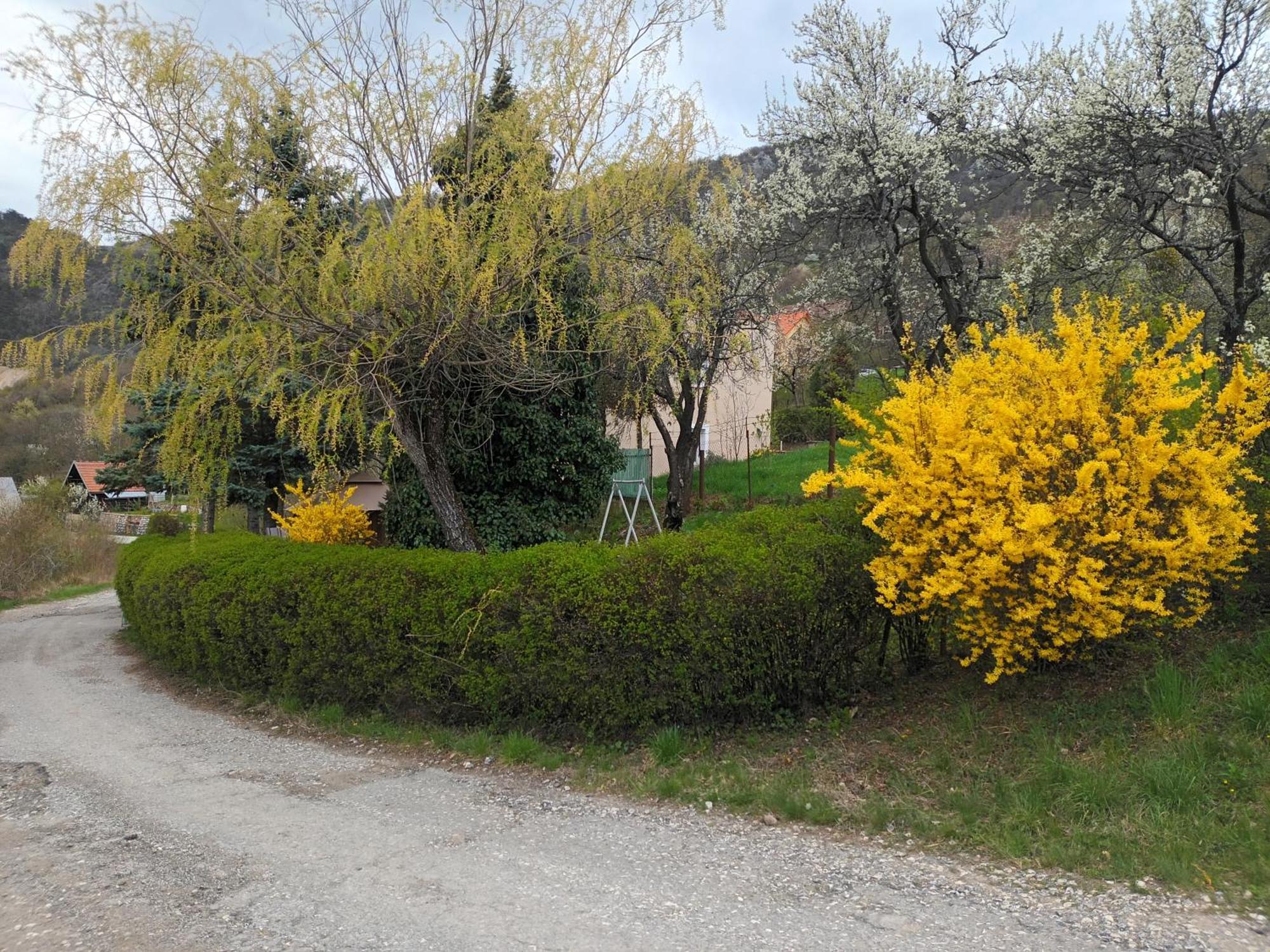 Villa Evetes Jablonov nad Turnou Eksteriør billede